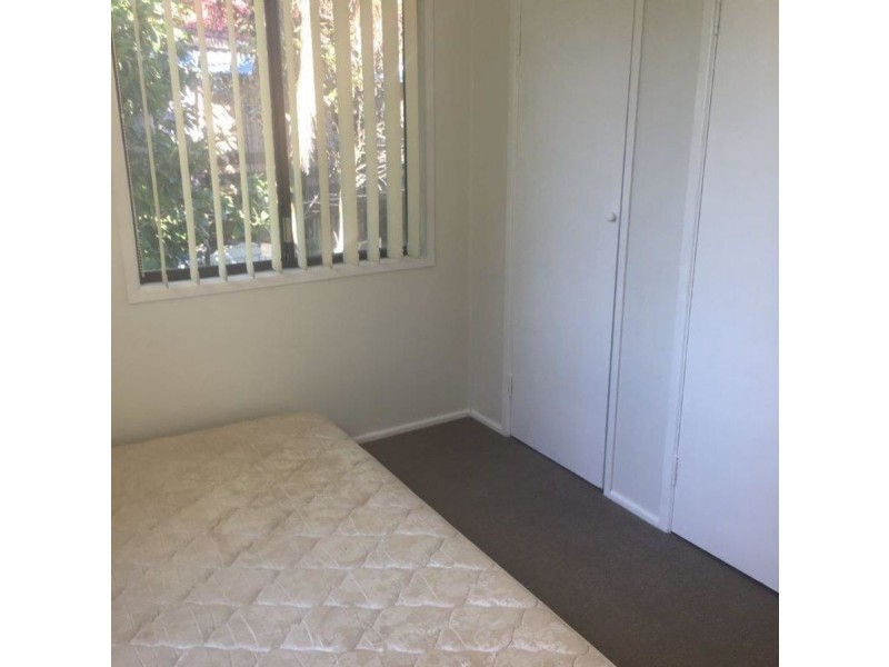 7/480 Esplanade, Torquay QLD 4655
