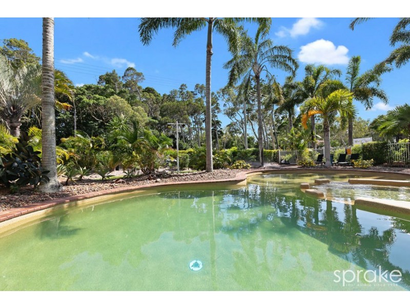 27/397 Esplanade, Torquay QLD 4655