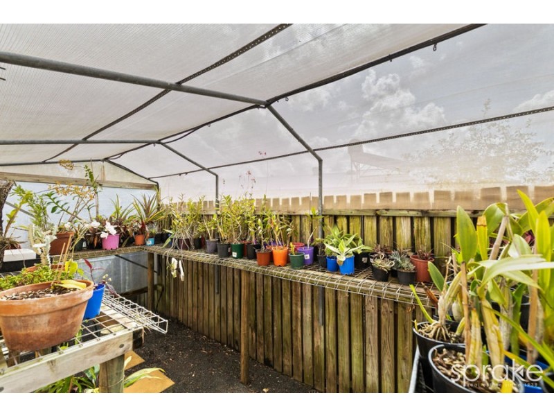 36 Bunker Avenue, Urraween QLD 4655