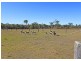 Lot 2 Leos Road, Walligan QLD 4655