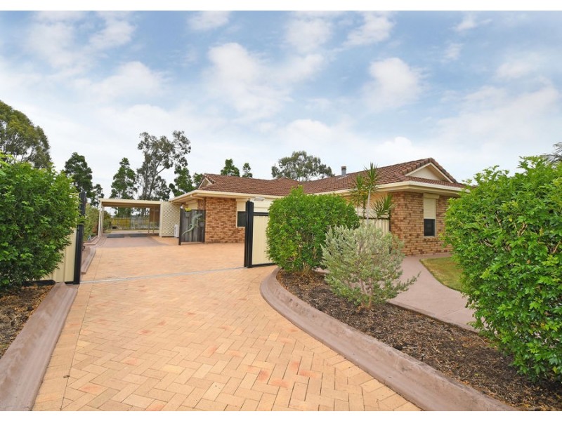 17 Brolga Court, Eli Waters QLD 4655