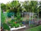 8 William St, Urangan QLD 4655