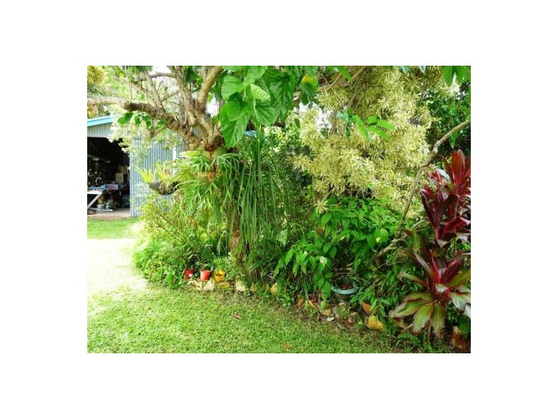 61 Newhaven St, Pialba QLD 4655