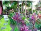 81 Ocean Outlook, River Heads QLD 4655