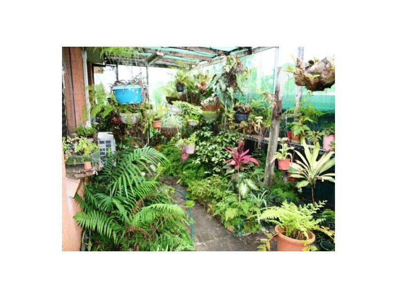 23 Truro St, Torquay QLD 4655