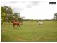 79 Chapel Rd, Nikenbah QLD 4655