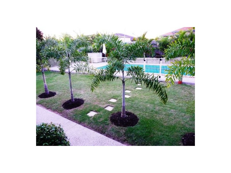 11 Arlington Crt, Kawungan QLD 4655