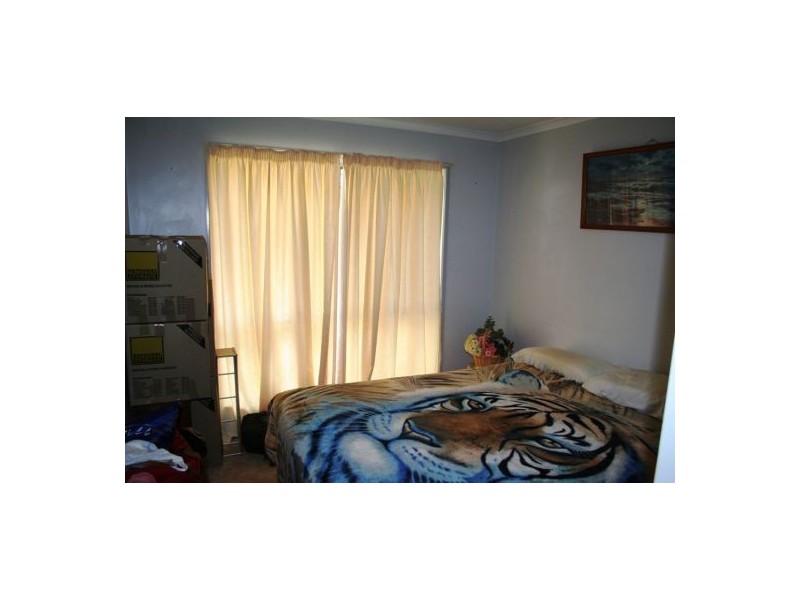 61 Dover Street, Pialba QLD 4655