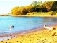 1 Esplanade, Point Vernon QLD 4655