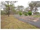 55 Old Walligan Road, Walligan QLD 4655