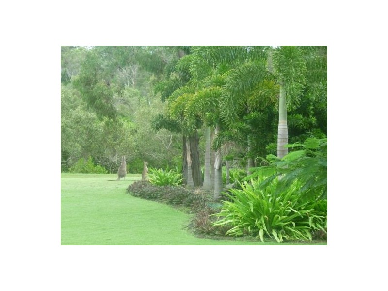 1597 Pialba Burrum Heads Rd, Toogoom QLD 4655