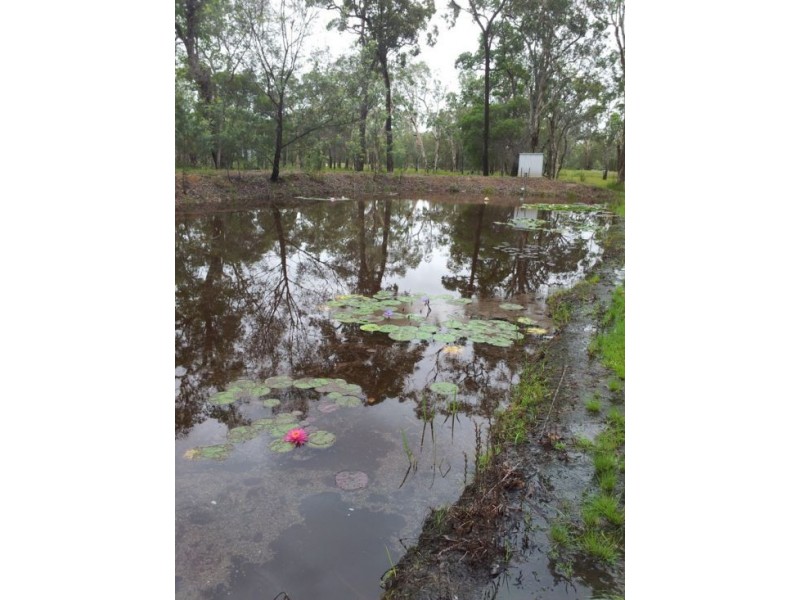 344 Honeyeater Drive, Walligan QLD 4655
