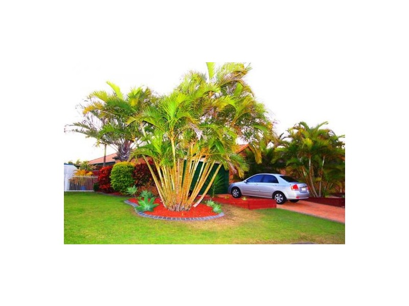 5 Brooke Crt, Torquay QLD 4655