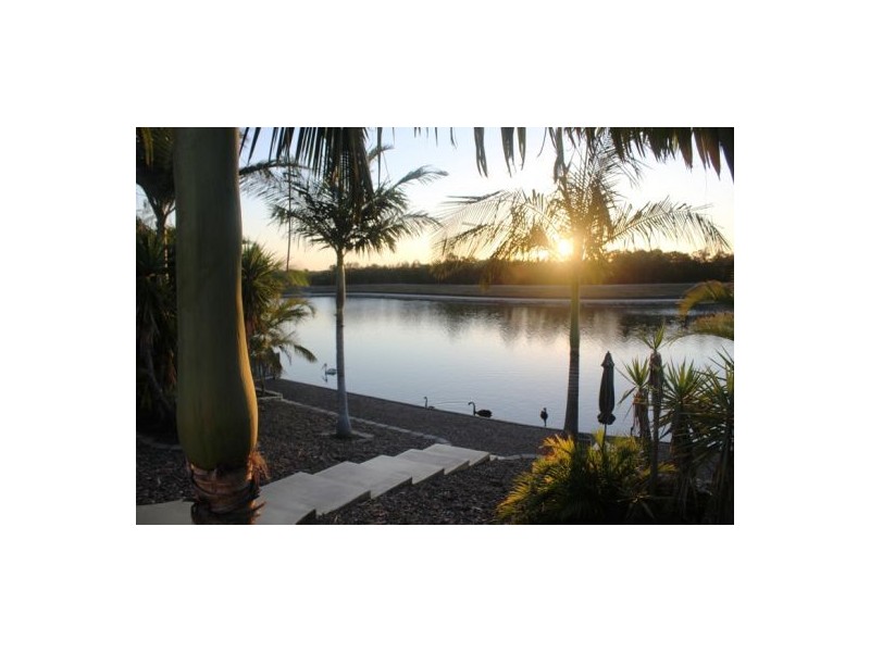 20 Bushlark Avenue, Eli Waters QLD 4655