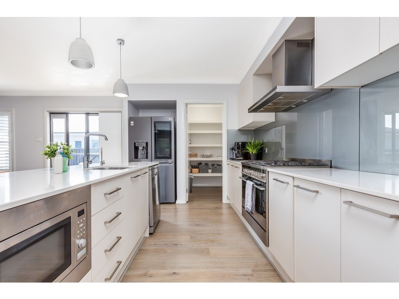 29 Pinchtail Street, Chisholm NSW 2322