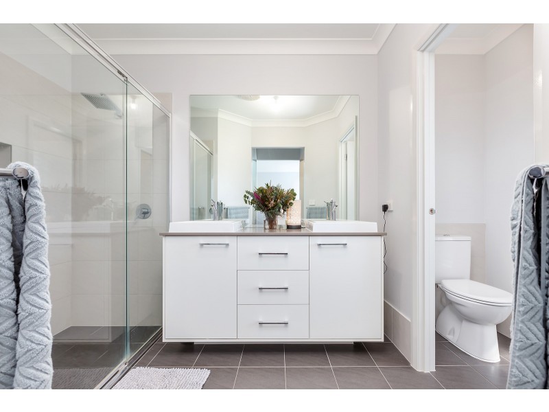 29 Pinchtail Street, Chisholm NSW 2322