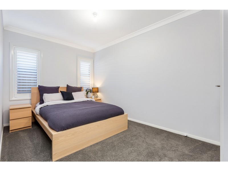 29 Pinchtail Street, Chisholm NSW 2322