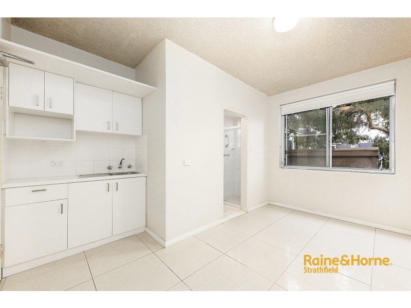 171-175 ROWNTREE STREET, Birchgrove NSW 2041