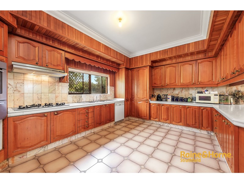 53 Arthur Street, Strathfield NSW 2135