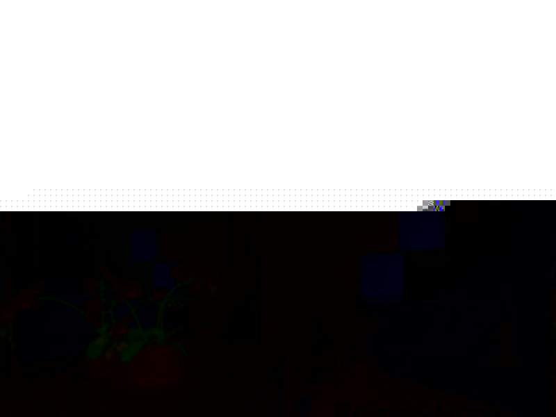 19 Ridgeland Street, Woongarrah NSW 2259