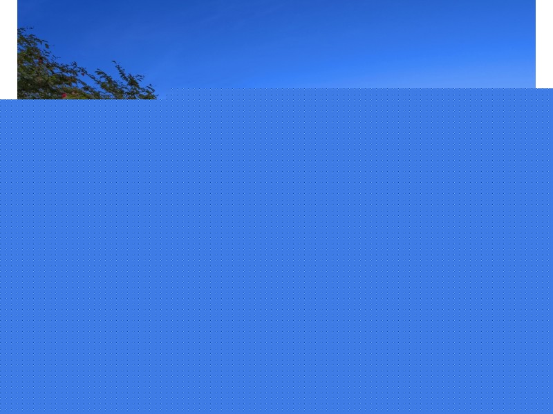 62 Howelston Road, Gorokan NSW 2263