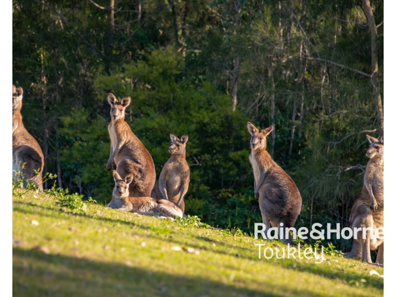 30 Government Road, Wyee Point NSW 2259