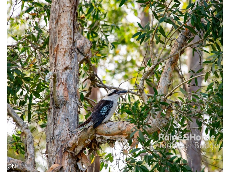 46/132 Findlay Avenue, Chain Valley Bay NSW 2259