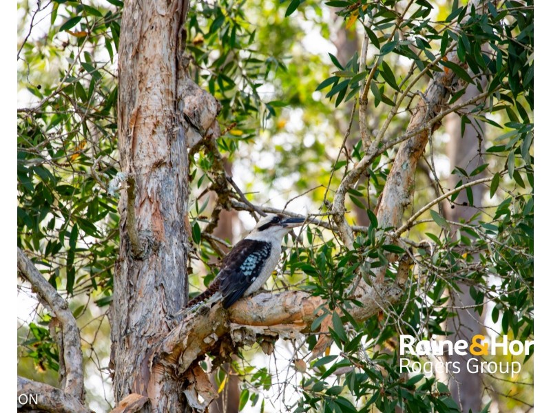 35/132 Findlay Avenue, Chain Valley Bay NSW 2259