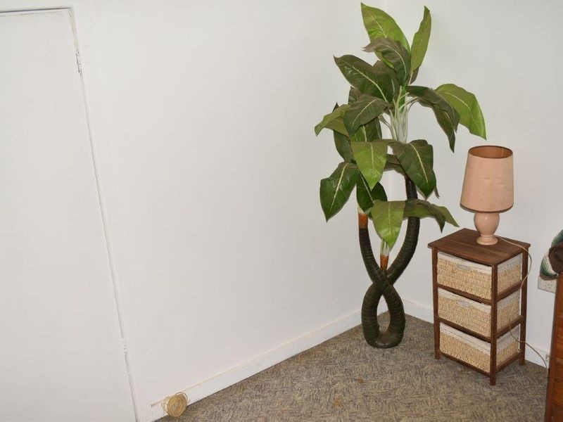 40 Parkes Street, Wellington NSW 2820