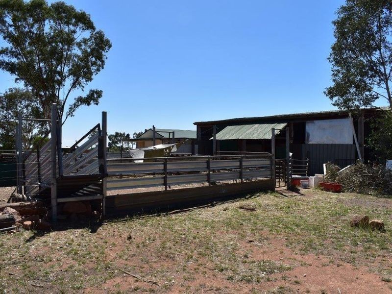 621 Eulalie Lane Walmer via, Wellington NSW 2820