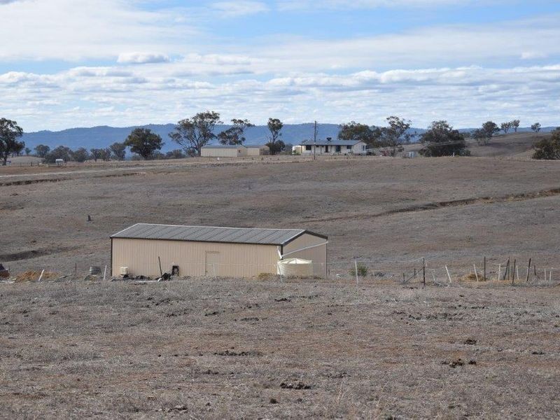 176 Tarrawingee Road Mumbil Via, Wellington NSW 2820