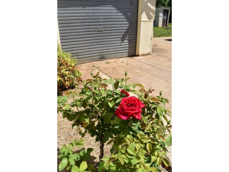 7 Montefiores Street, Wellington NSW 2820