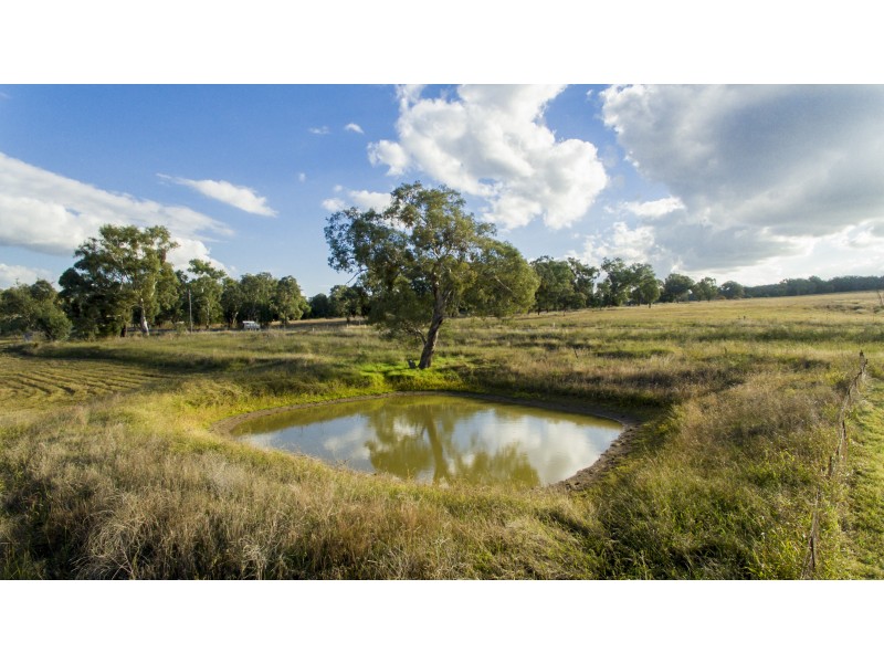 8428 Mitchell Highway Neurea via, Wellington NSW 2820
