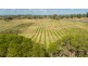 8428 Mitchell Highway Neurea via, Wellington NSW 2820