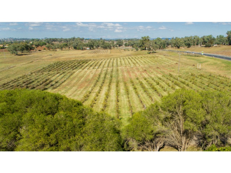8428 Mitchell Highway Neurea via, Wellington NSW 2820