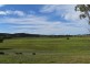 678 Dripstone Road Dripstone via, Wellington NSW 2820