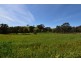 621 Eulalie Lane Walmer via, Wellington NSW 2820
