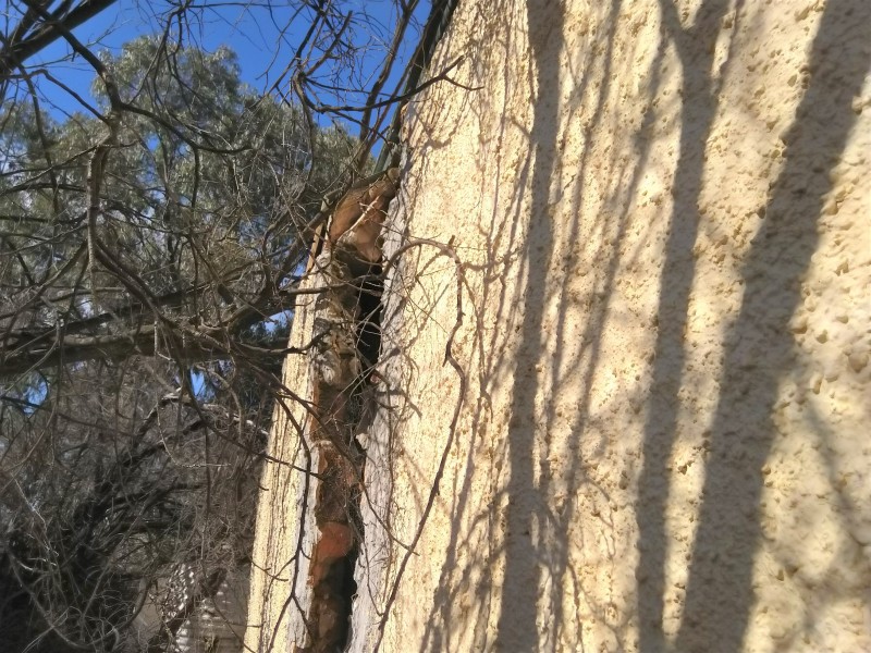 70 Thornton Street, Wellington NSW 2820