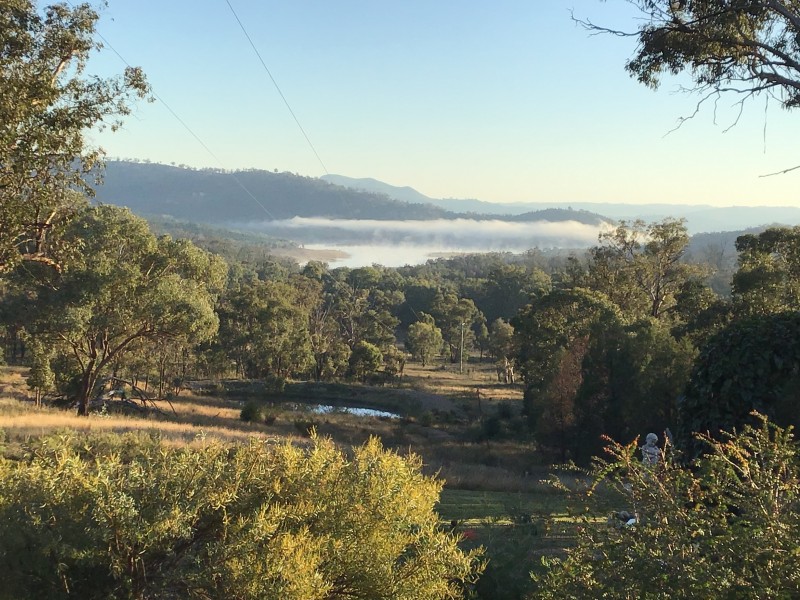 242 Fashions Mount Road Mumbil via, Wellington NSW 2820