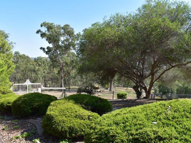 242 Fashions Mount Road Mumbil via, Wellington NSW 2820