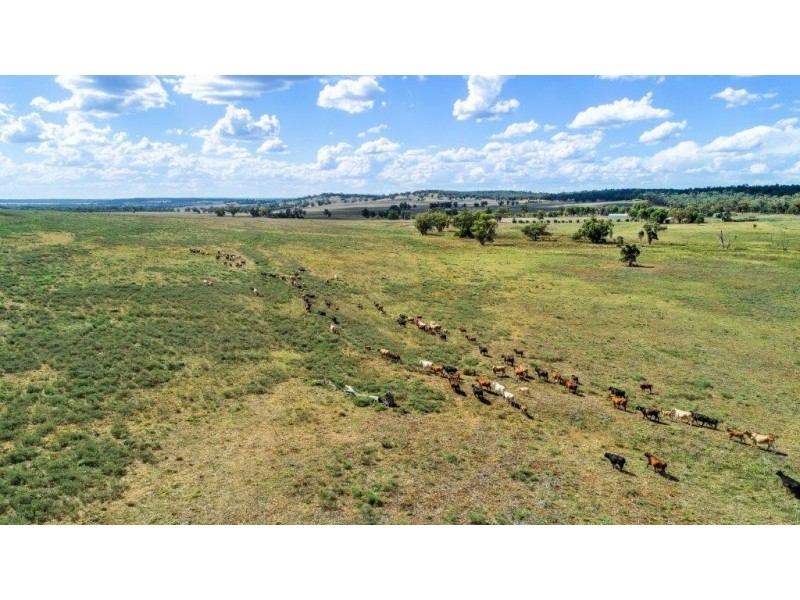 32L Ballimore Road, Ballimore NSW 2830