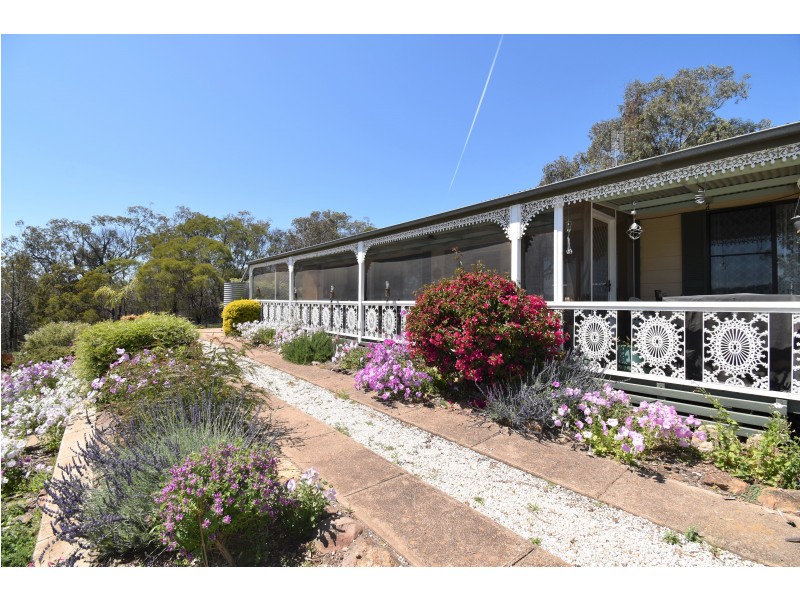 242 Fashions Mount Road, Mumbil NSW 2820