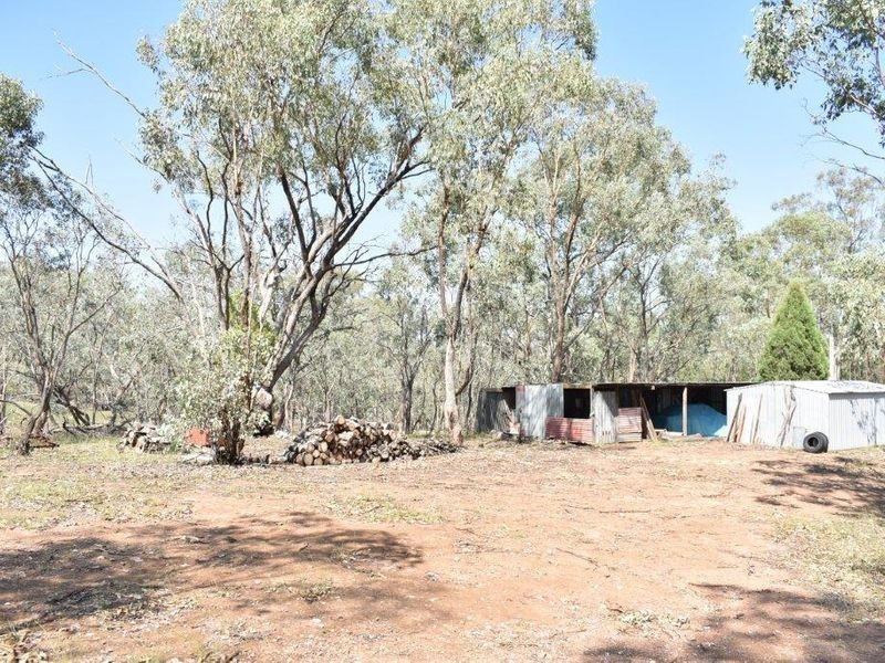242 Fashions Mount Road, Mumbil NSW 2820