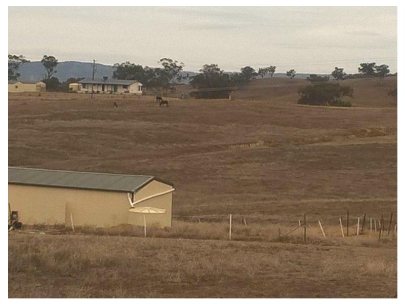 176 Tarrawingee Road Mumbil Via, Wellington NSW 2820