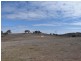 176 Tarrawingee Road Mumbil Via, Wellington NSW 2820