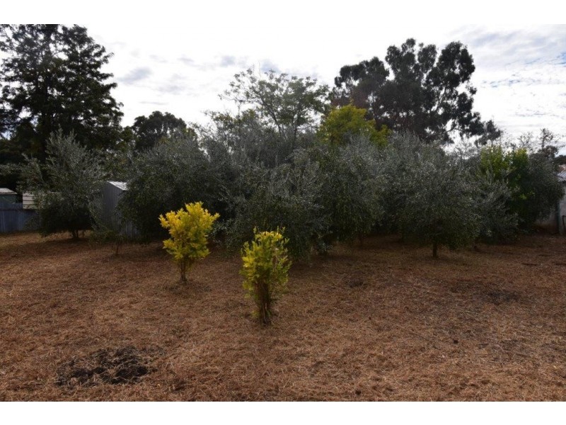 28 Cudgegong Street, Mumbil NSW 2820