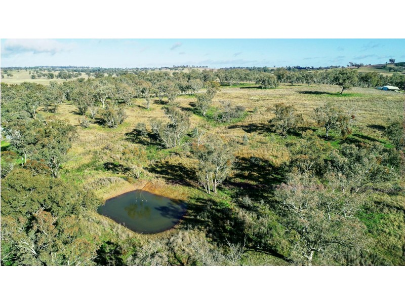 534 Curra Creek Road Curra Creek via, Wellington NSW 2820