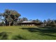 534 Curra Creek Road, Curra Creek NSW 2820