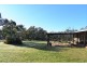 534 Curra Creek Road, Curra Creek NSW 2820