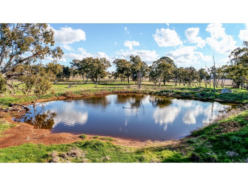 11 Karoo Lane, Walmer NSW 2820